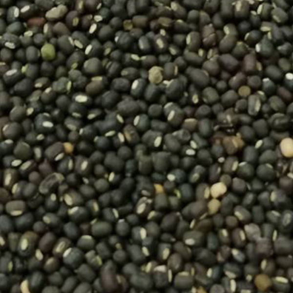 01_Black Matpe (FAQ) copy