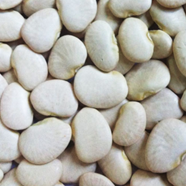 09_ Butter Bean