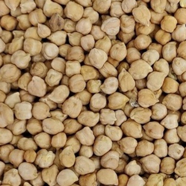 Chick Pea