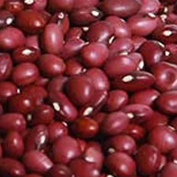 Small Red Bean